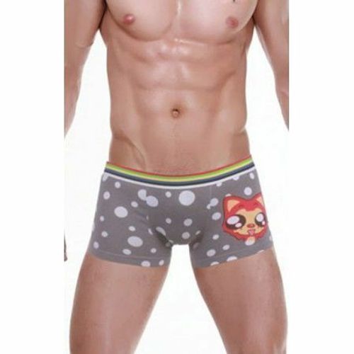 Мужские трусы боксеры серые CBAOOTA zCBA0005