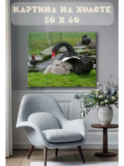 Картина на стену 40 X 50 Черный лебедь с детенышами