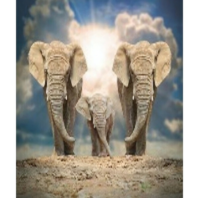 Штора для ванной комнаты Фотопринт 180*180 "СЛОНЫ" с кольцами 461390