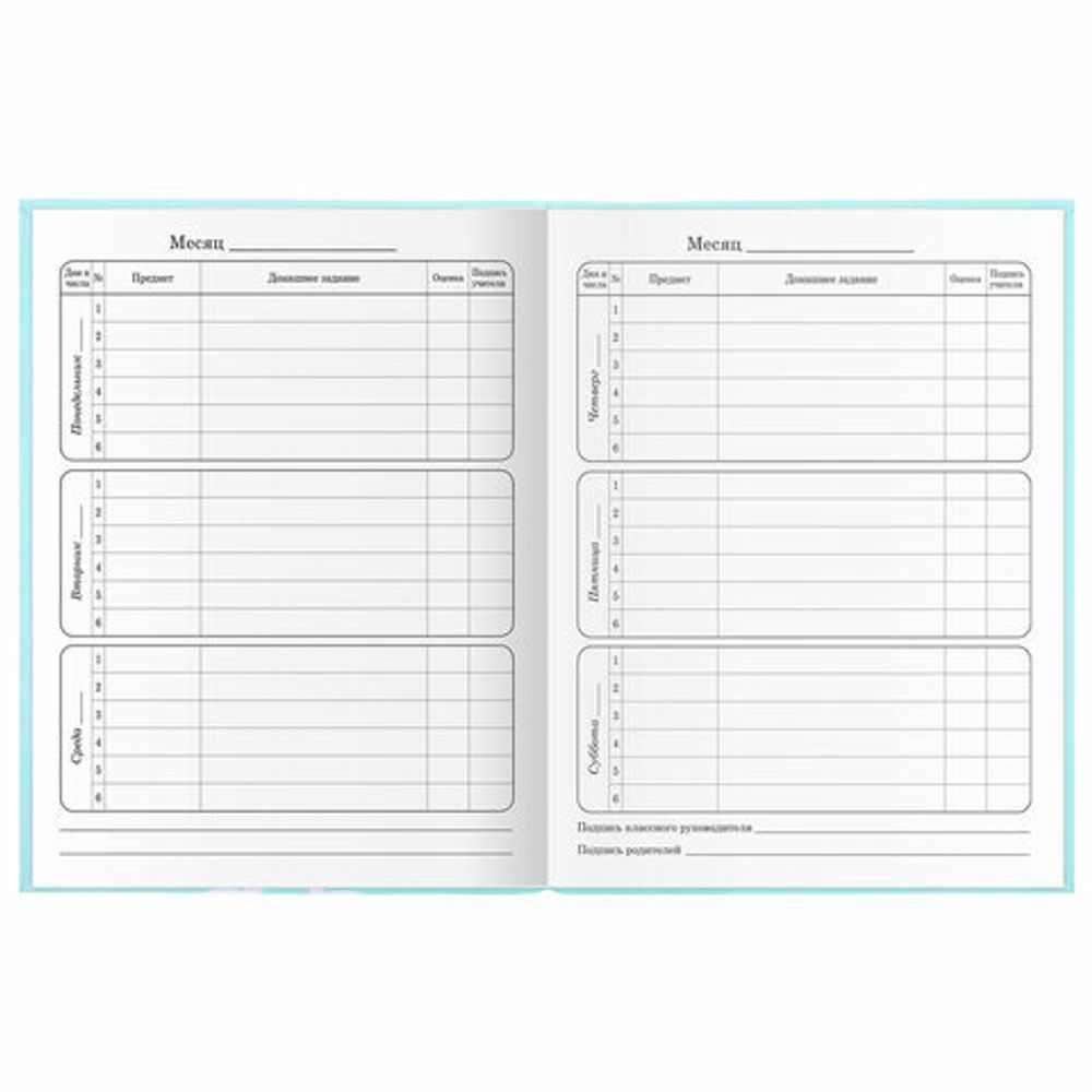 Дневник 1-4 класс 48 л., гибкая обложка, ЮНЛАНДИЯ, выборочный лак, с подсказом, "Little Princess", 106344