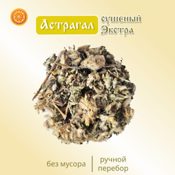 Астрагал шерстистоцветковый Экстра (цвет с листом) травяной чай.