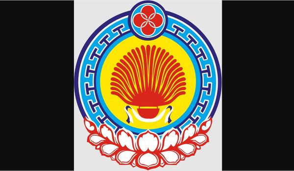 Открытое Первенство Республики Калмыкия по тхэквондо ВТ