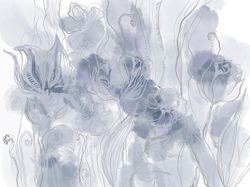 Коллекция ASTRAL 22