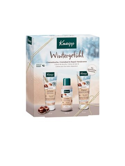 Kneipp Winter Feeling - подарочный набор (для рук и тела) /   / GTIN 4008233164748