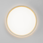 Потолочный светодиодный светильник Citilux ETALON CL750240