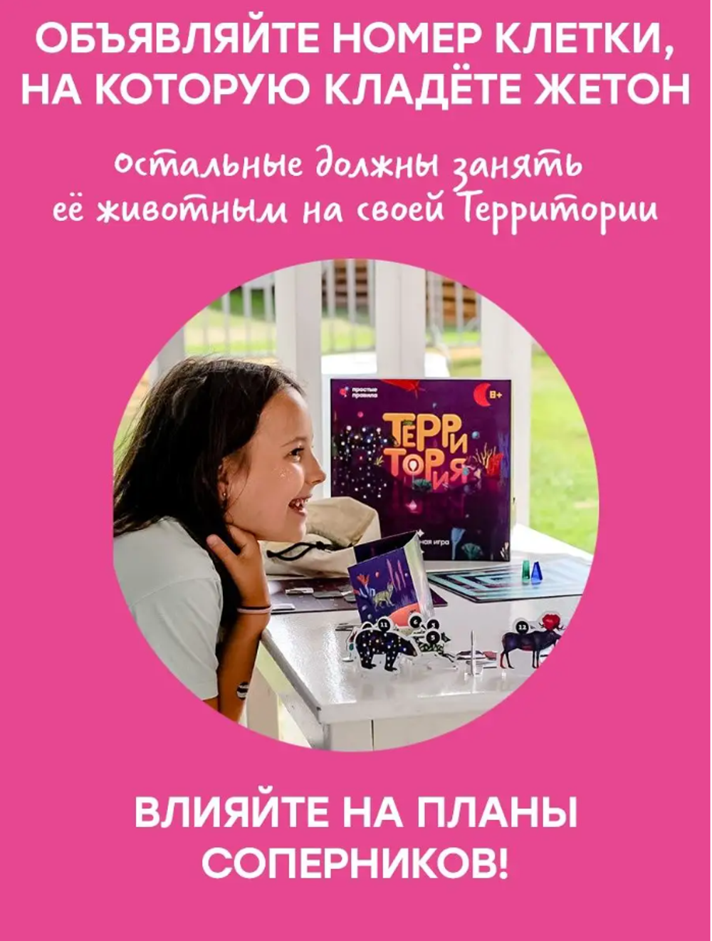 Настольная игра "ТЕРРИТОРИЯ"