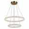 Подвесной светодиодный светильник ST Luce Avana SL6110.203.02