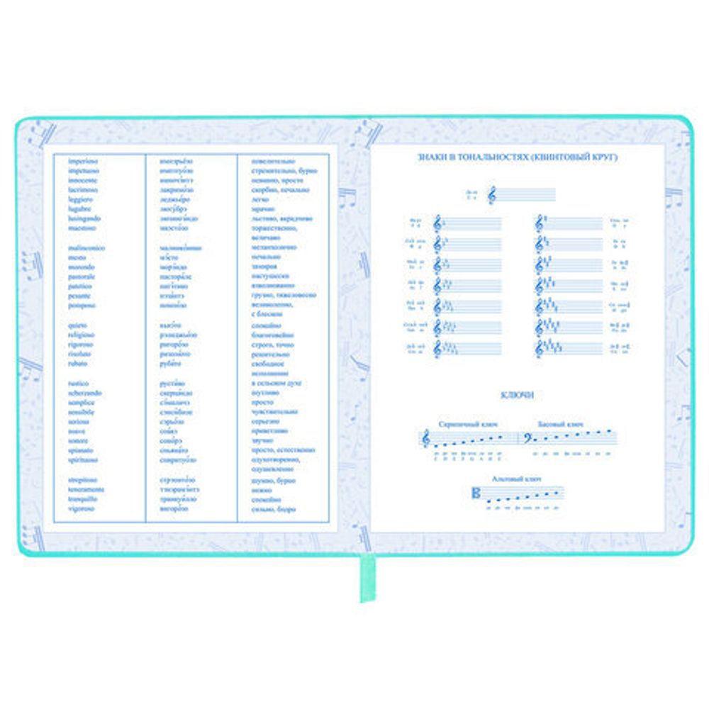Дневник для музыкальной школы 170х215 мм, 48 л., обложка кожзам твердая, фольга, BRAUBERG, справочный материал, КОТИК, 107367