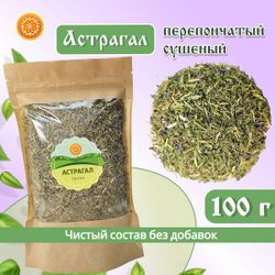 Астрагал перепончатый.