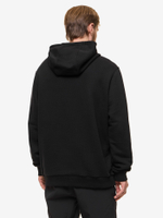 ТОЛСТОВКА МУЖСКАЯ BASK FRAME HOODY