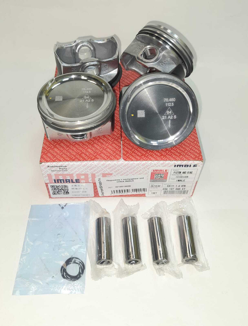 Поршни с кольцами STD CFNA IMALE