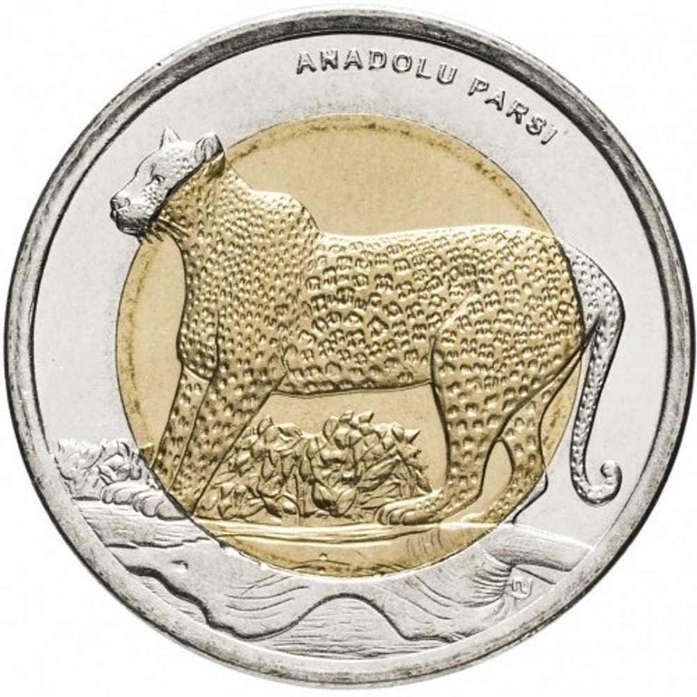 Анатолийский леопард