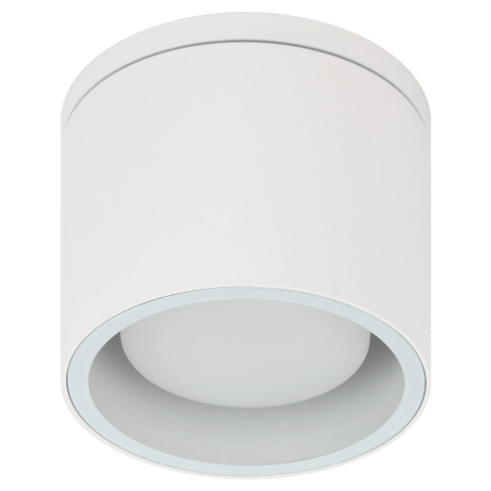 Светильник настенно-потолочный спот ЭРА WL40 WH GX53, белый, IP54