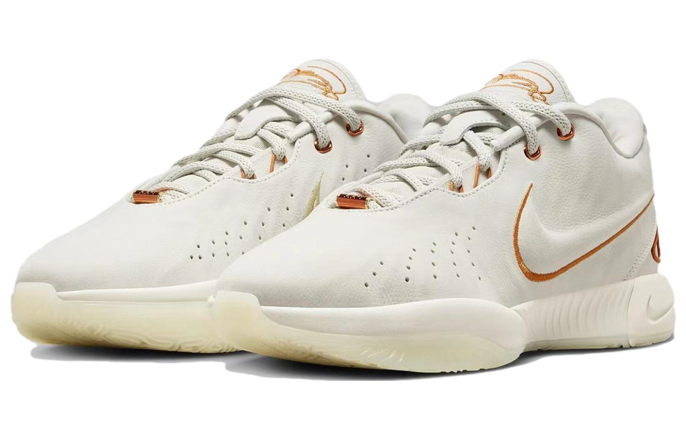 Кроссовки Nike Lebron 21 Ep "Akoya" 21 Lbj21