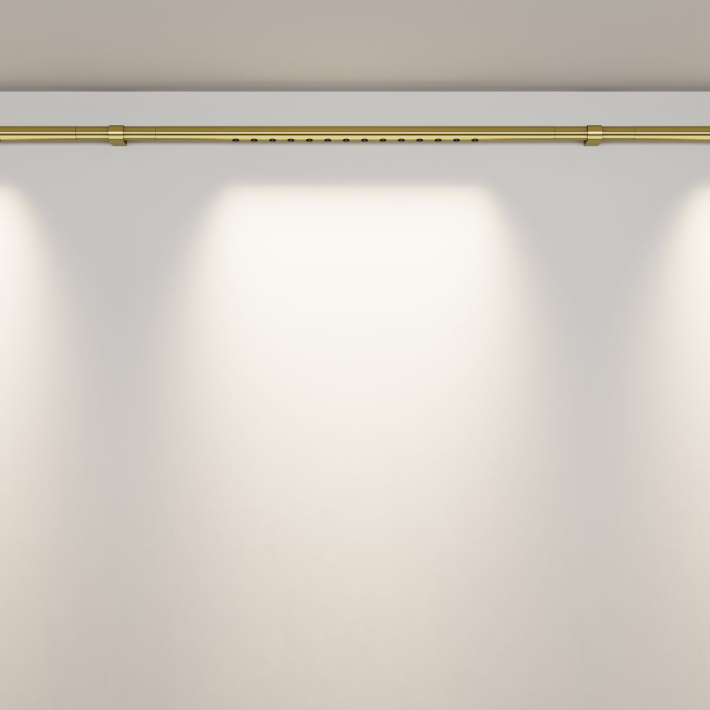 Трековый штанговый светодиодный светильник Maytoni Axity   C101CL-L500-12W3-6K-BS