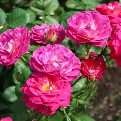 Аутта зе Блю (Outta the Blue)