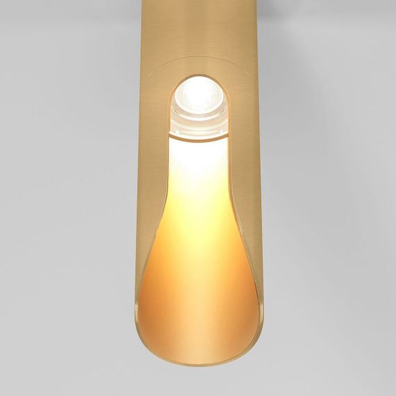 Потолочный светодиодный светильник Elektrostandard Apex 25113/LED a068290