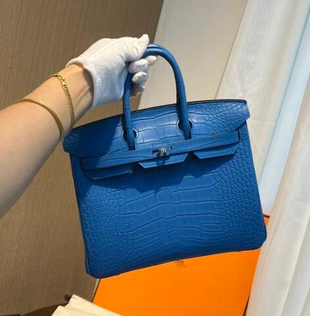 Hermes Birkin 25
