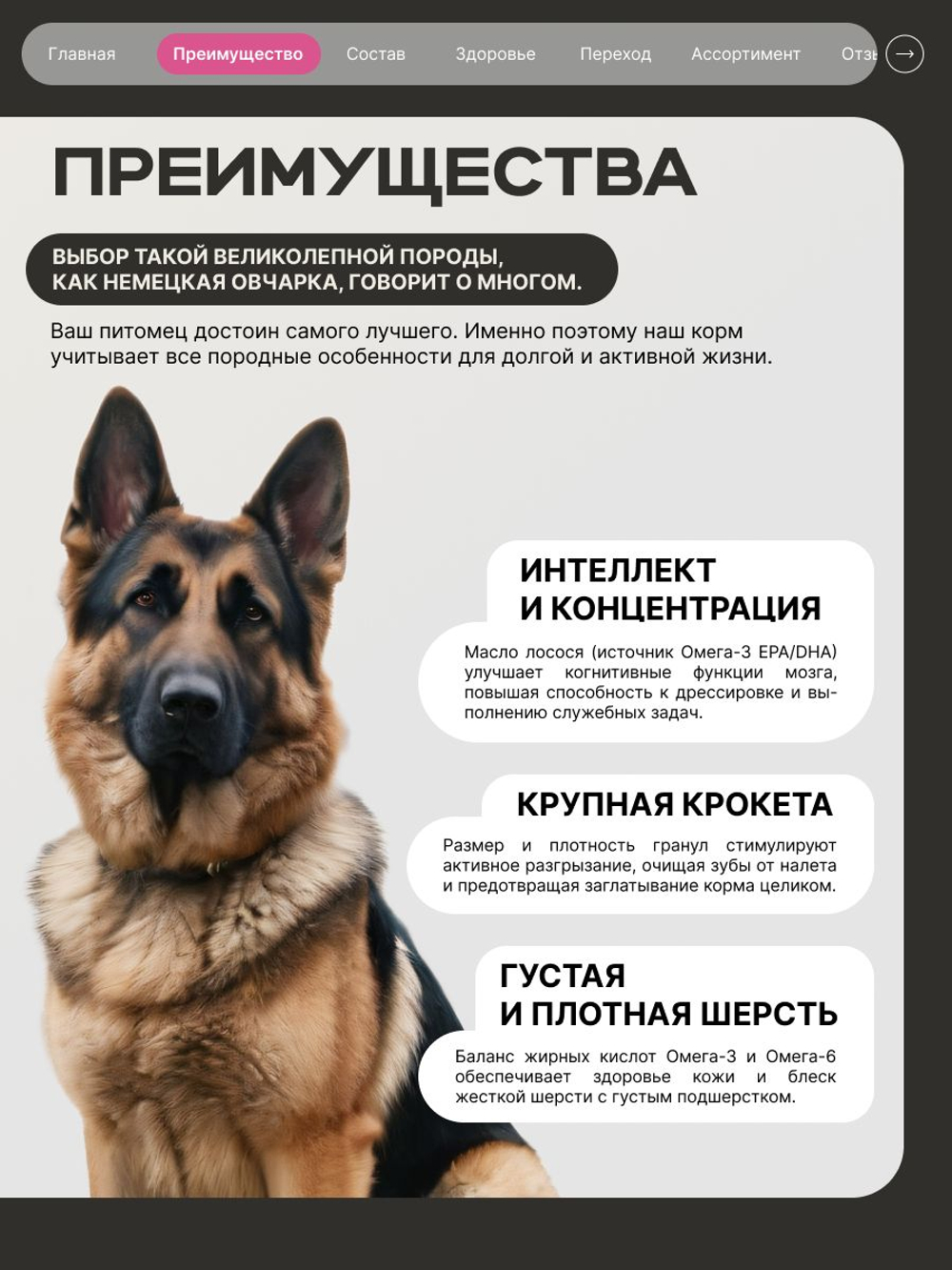 Корм сухой для взрослых собак породы Немецкая овчарка, премиум полнорационный комплекс, с говядиной, 12 кг, QUATTRO
