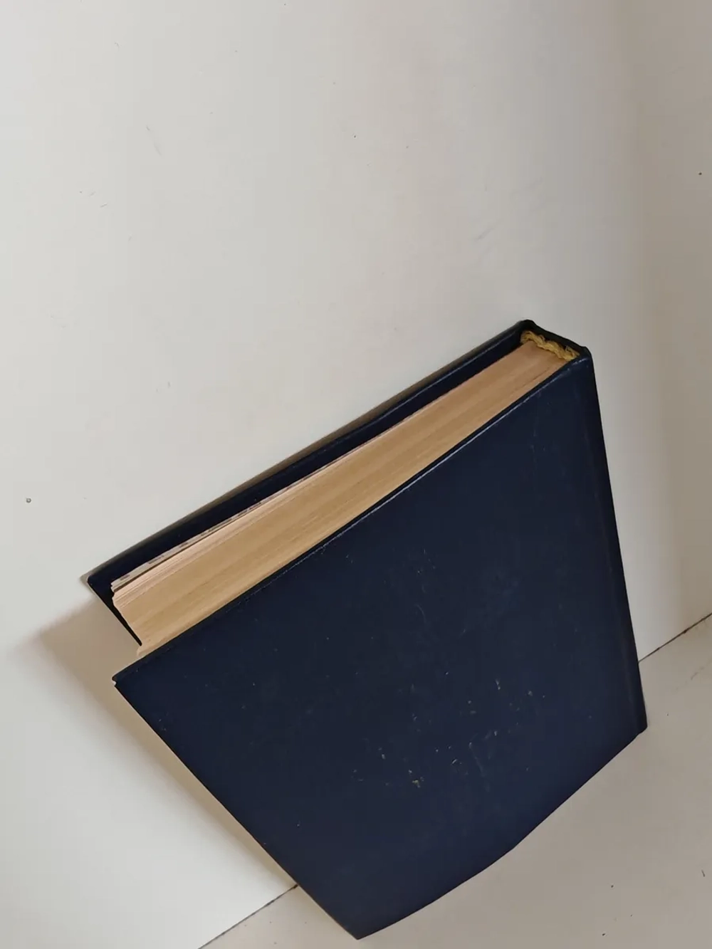 К земле неведомой: Повесть о Михаиле Брусневе