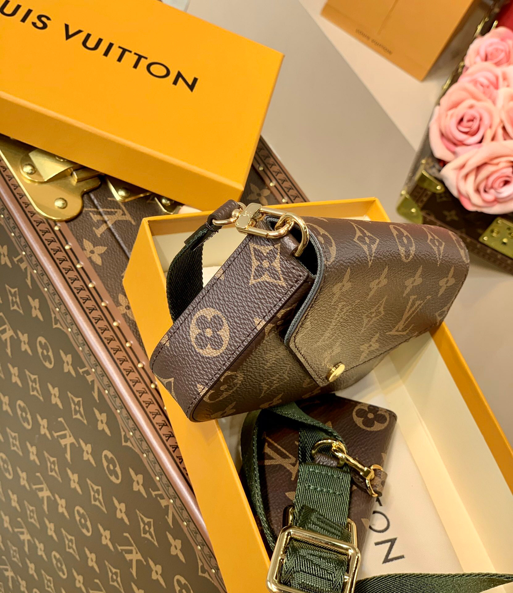 Louis Vuitton Felicie Strap & Go