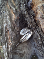 Кольцо ПЕРО-2, серебро