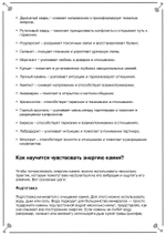 Руны и камни (электронная): Сила союза стихий. Кудесник Добрыня