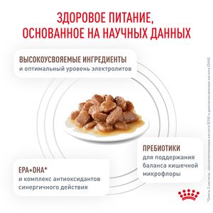 Пауч Royal Canin GastroIntestinal для взрослых кошек при расстройствах пищеварения