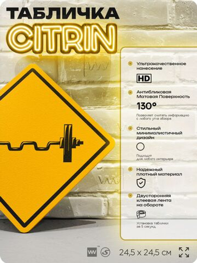 Табличка декоративная "Штанга с блинами" на дверь и стену, спортивная, информационная, декоративный знак, 24,5х24,5 см, пластиковая, Айдентика Технолоджи