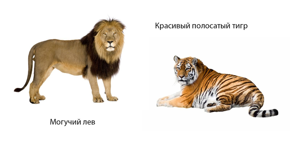 Зоопарк