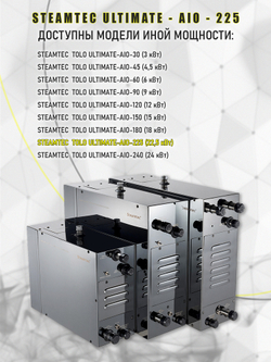 Steamtec TOLO AIO 225 - 22,5 кВт парогенератор для хамама и турецкой бани / Серия Premium