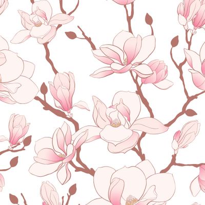 Магнолия на белом