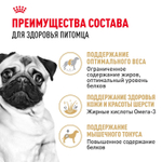 Royal Canin Pug Adult Корм сухой для взрослых собак породы Мопс 1,5 кг