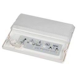 Светильник ЭРА ДБО 01-12-001 Линия Лайт 12Вт 4000K 1000Лм IP54 240х110х35 антивандальный