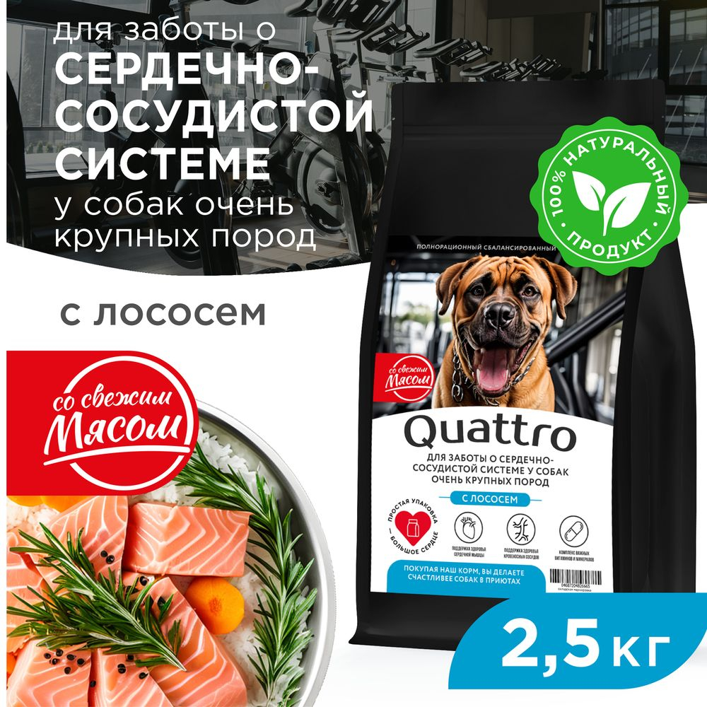 Корм сухой для взрослых собак очень крупных пород, премиум полнорационный комплекс, для заботы сердечно-сосудистой системы, с лососем, 2,5 кг, QUATTRO