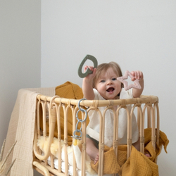 Силиконовый прорезыватель BIBS Baby Heart - Dark Oak