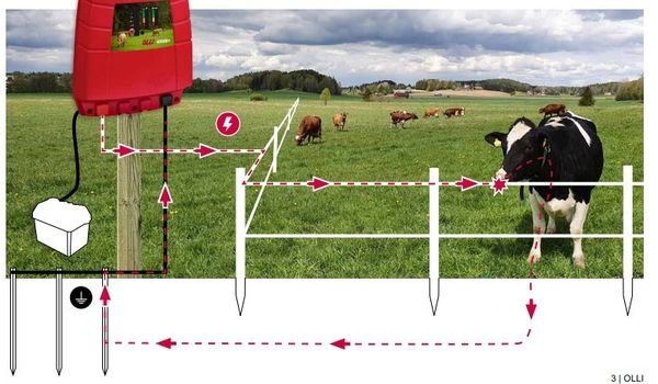 Электропастух – что это? Принцип работы электропастуха