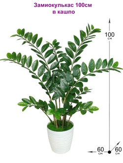 Искусственный замиокулькас купить в Москве