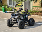 Lion 125 CC черный