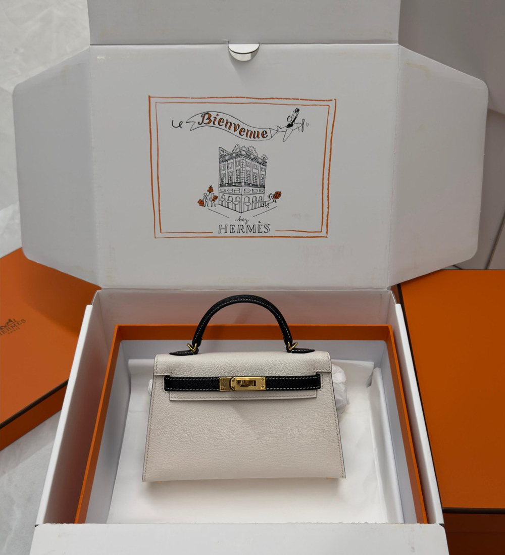 Сумка Hermes