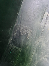 Бампер задний Cadillac Escalade 5 (2020-н.в.)