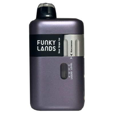 FANKY LANDS & LOST MARY SONIC X