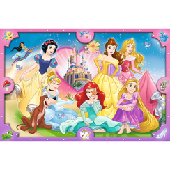 Puzzle The pink world of princesses