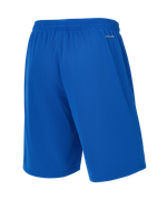 Шорты баскетбольные DIVISION PerFormDRY RBF 2S Shorts, синий