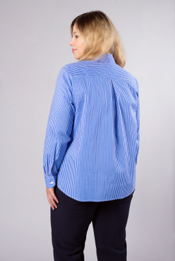 Блузка женская 3724зпа, полоска #83Пв093724зпа