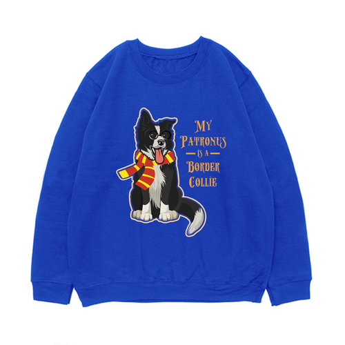 Свитшот "Колли - волшебник"