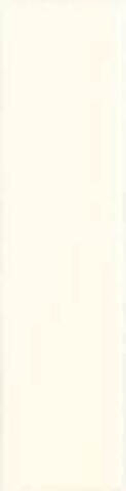 Adex Neri Liso PB Biscuit 5x20