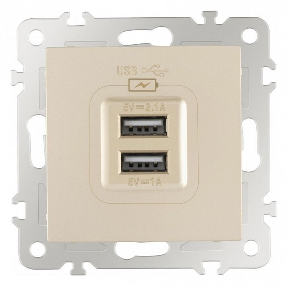 Розетка USB, без рамки Arte Milano am-206 206.46-1.shampan
