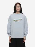 Лонгслив RUFF Global The New Ark серый