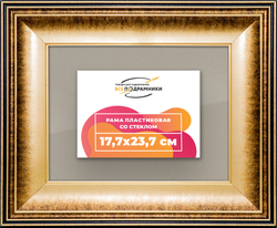Рамка 17,7x23,7 для постера и фотографий